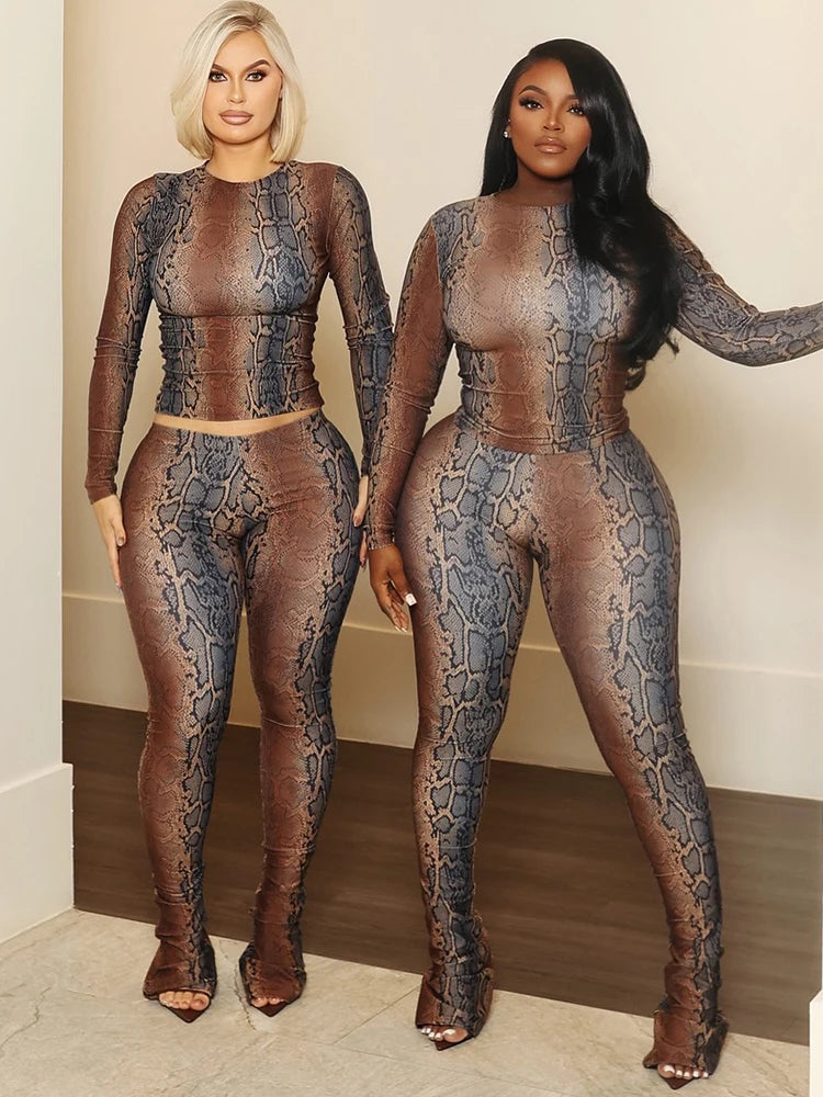 Conjunto contemporáneo klo