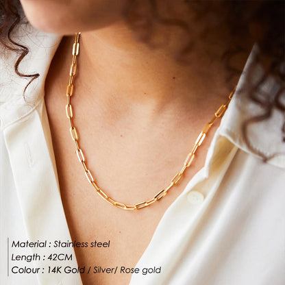 Collar de cadena de acero inoxidable