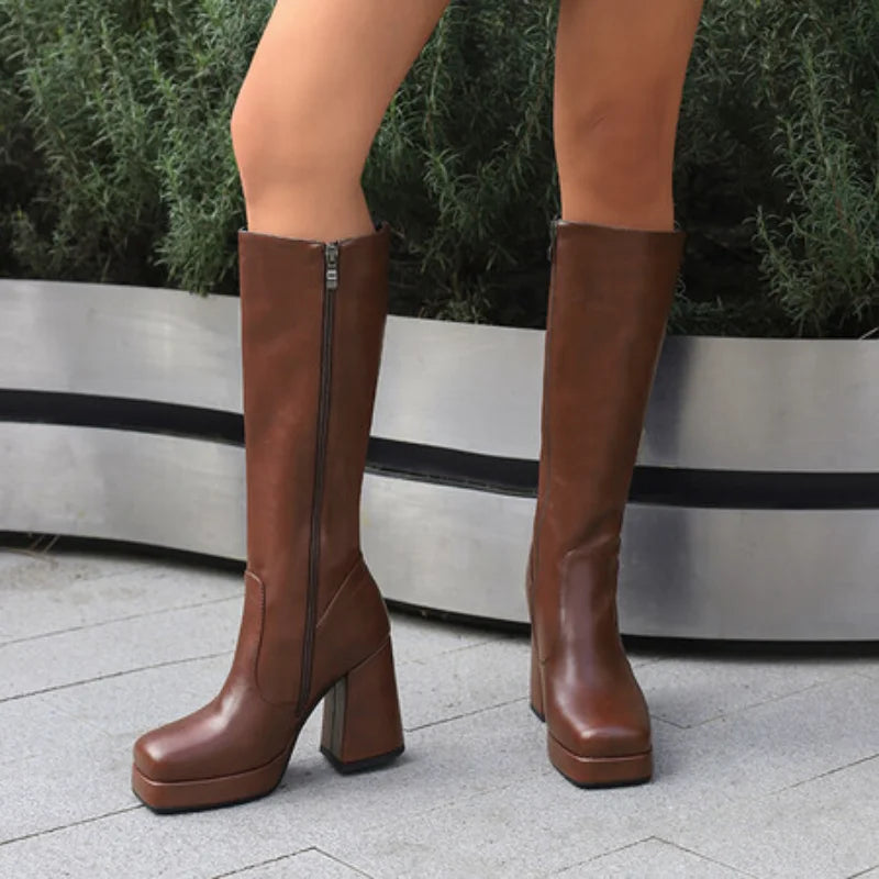 Botas hasta la rodilla para mujer, tacones con punta, plataforma de 10cm, 2,5 cm,