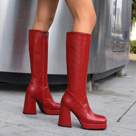 Botas hasta la rodilla para mujer, tacones con punta, plataforma de 10cm, 2,5 cm,